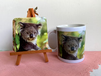 Photo Mug Collection