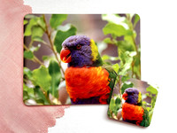 Lorikeet of Rainbow Placemat & Coaster Set $40