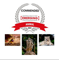 Australasia's Top Emerging Photographers 2021