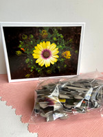 African Daisy Puzzle: 60pc $15