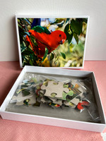 King Parrot Puzzle: (Sold OUT)