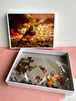 Gouldian Finch Puzzle: 60pc $15