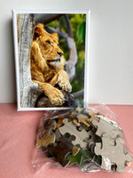 Jigsaw Puzzles