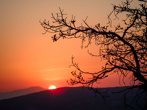 African Sunset