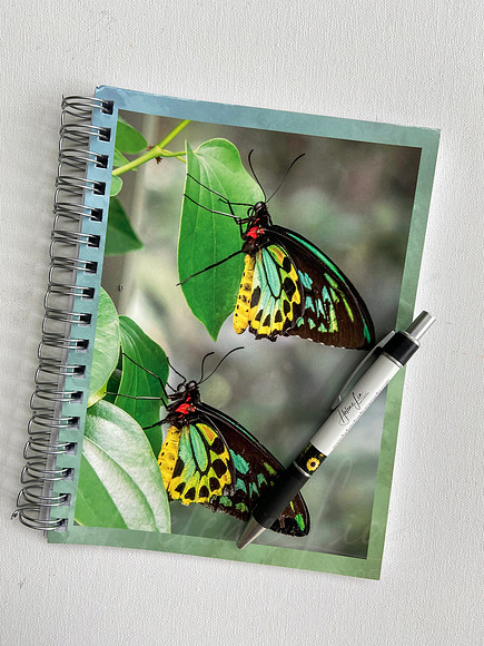 Birdwing Butterfly Journal $10