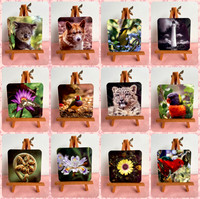 Assorted Coasters