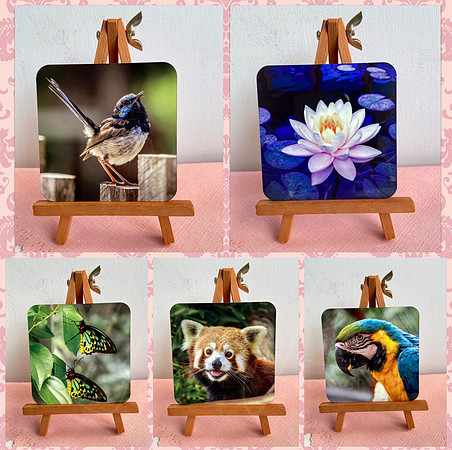 Assorted Coasters 1x $5; 2x $10; 4x $20; 6x $30; 8x $40