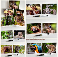 Amazing Animals 10pk $20