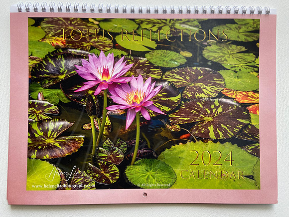 2024 Lotus Reflections Calendar $20