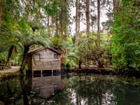Parks & Gardens