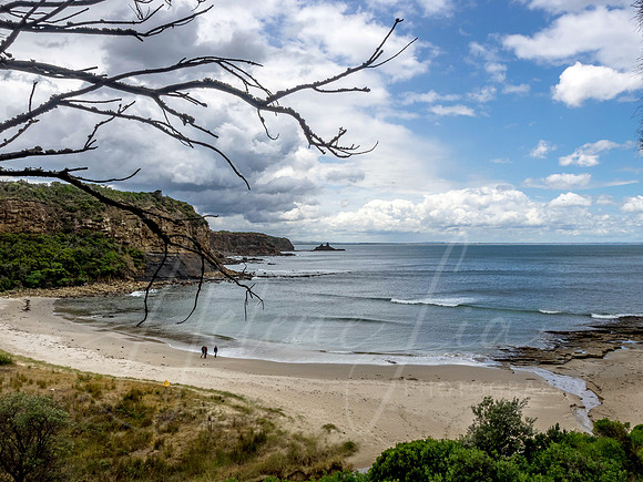 Shack Bay