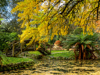 Alfred Nicholas Autumn
