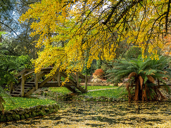Alfred Nicholas Autumn