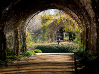 Alowyn Gardens