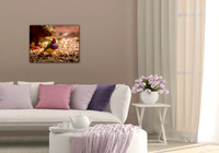 Canvas Collection