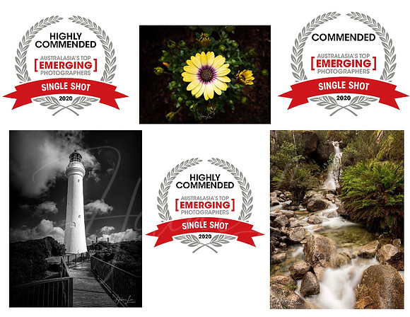 Australasia's Top Emerging Photographers 2020