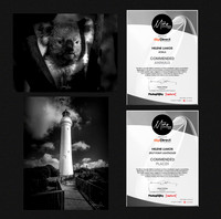 The Mono Awards 2020