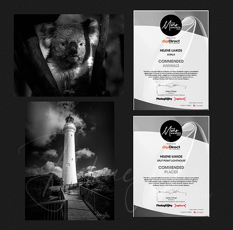 The Mono Awards 2020