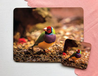 Gouldian Finch Placemat & Coaster Set $40