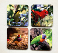 Australian Birds Coasters (Set of 4) $45