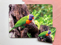 Rainbow Lorikeet Placemat & Coaster Set $40