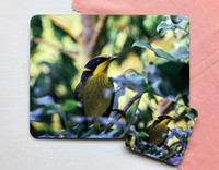 Helmeted Honeyeater Placemat & Coaster Set $40