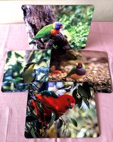 Australian Birds Placemats (Set of 4) $90