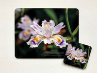 Placemat & Coaster Sets