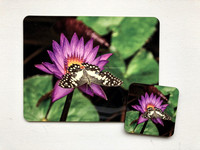 Butterlily Placemat & Coaster Set $40