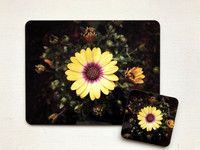 African Daisy Placemat & Coaster Set $40
