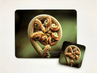 Fern Placemat & Coaster Set $40