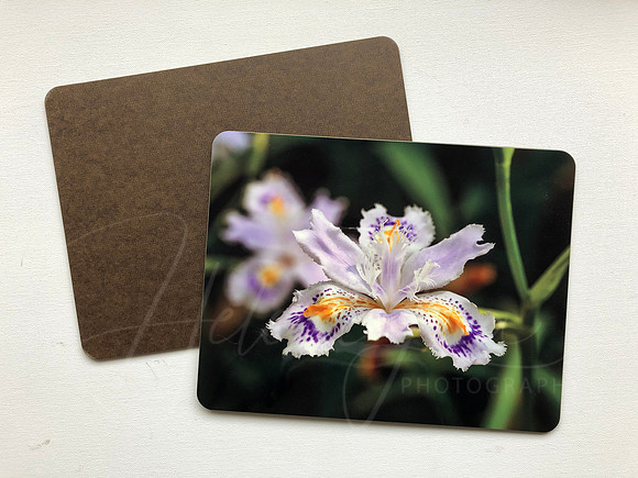 preview - placemat fibreboard