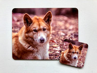 Dingo Placemat & Coaster Set $40