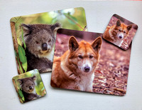 Koala & Dingo Placemat & Coaster Set $70