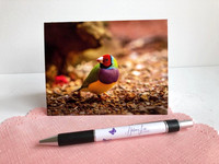 Greeting Cards