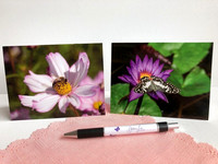 preview - greeting cards