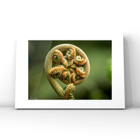 New Beginnings $25