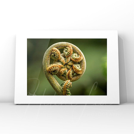New Beginnings $25
