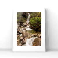Lady Bath Falls $25