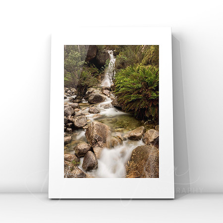 Lady Bath Falls $25