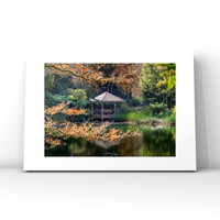 Rhododendron Garden $25