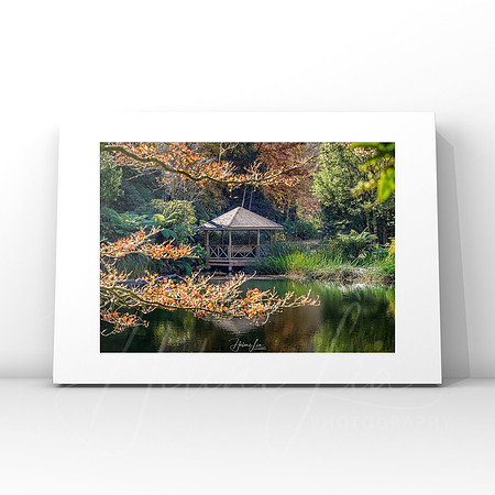 Rhododendron Garden $25