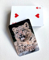 Playing Cards