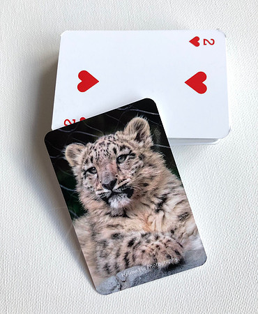 Snow Leopard Playing Cards (Sold OUT)