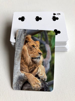 Lion Playing Cards $5 (Last One)