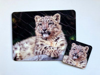Snow Leopard Placemat & Coaster Set $40