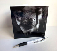 preview - black and white cards