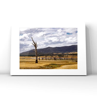 Lake Nillahcootie $25