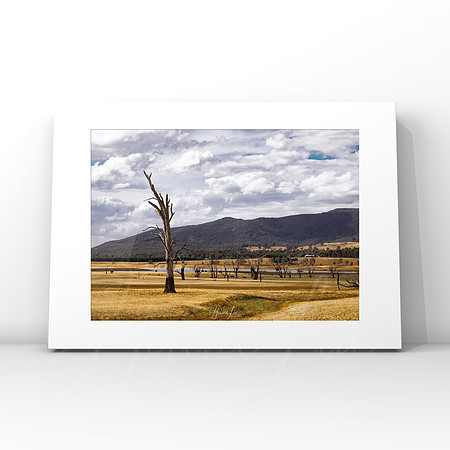 Lake Nillahcootie $25