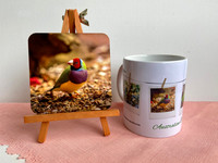 Gouldian Finch Coaster & Mug Set $15